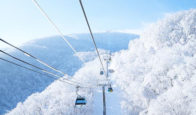 [FUN SKI] 2027 FUN Ski/Snowboard Festival 2D1N/3D2N/4D3N Package (Jan~Mar)
