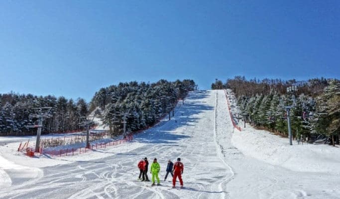 首尔/机场 ↔ MONA 龙平滑雪度假村穿梭巴士 - 2