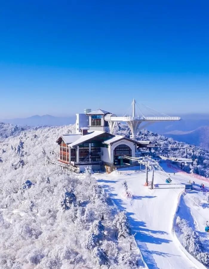 MONA YongPyong Resort Official Booking | Ski, Hotels & Packages in Kor
