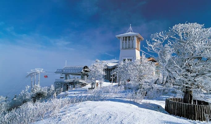 MONA 龙平滑雪场滑雪板学校:私人滑雪板课程 - 2